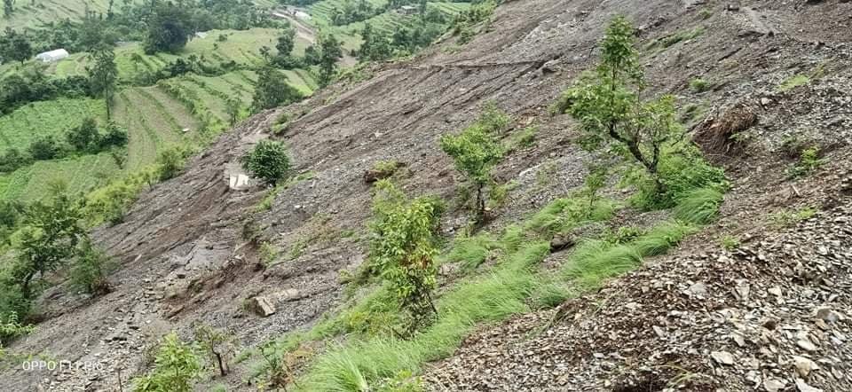 सडक अवरुद्ध हुदाँ खाद्यान्न ढुवानीमा समस्या