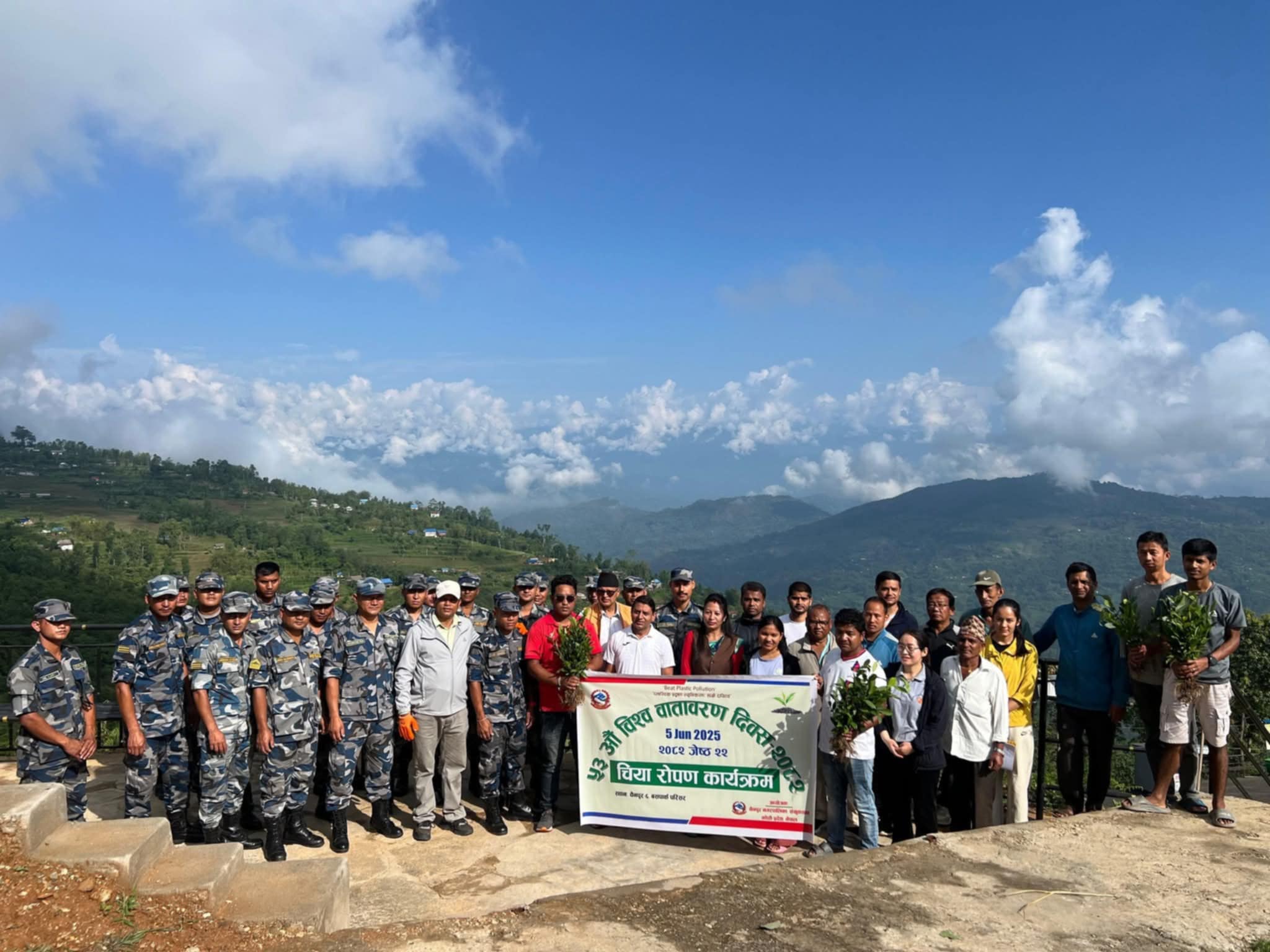 चैनपुरको गढीमा ४ हजार बढी चियाका विरुवा रोपियो