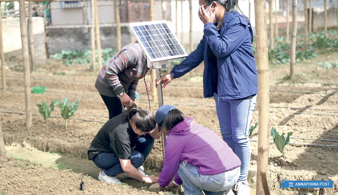 मेसिन र एपबाट माटोको परीक्षण